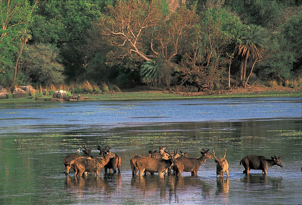 The Oberoi Vanyavilas Wildlife Resort, Ranthambhore Sawai Madhopur Exterior foto